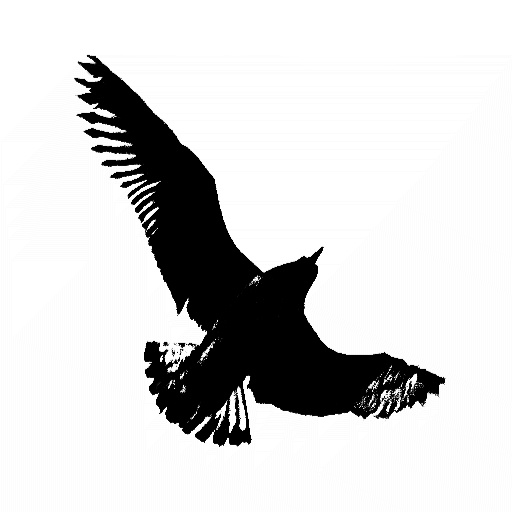 Nikos Kai Kolvenbach